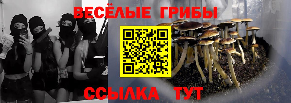 Калач-на-Дону  Псилоцибиновые грибы прущие грибы  Вход с VPN  Псилоцибиновые грибы мухоморы 